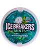 Ice Breakers Wintergreen 42g