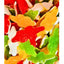 Damel Crocodiles 1kg